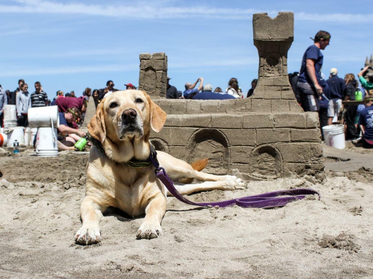 Beaches Inn | Herons Nest Loft Cannon Beach Buitenkant foto